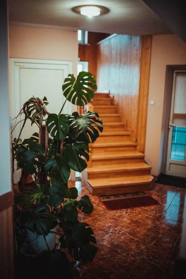 Дідів Рай Hotell Volovets Eksteriør bilde